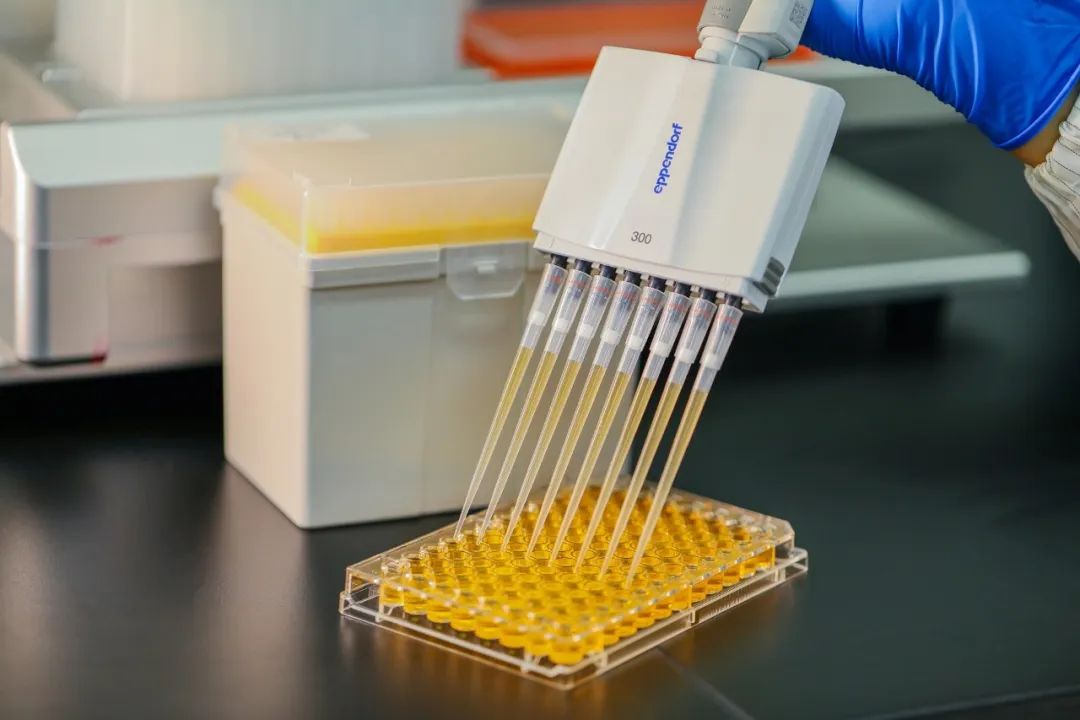 သင့်အတွက် မှန်ကန်သော pipette အကြံပြုချက်များကား အဘယ်နည်း။